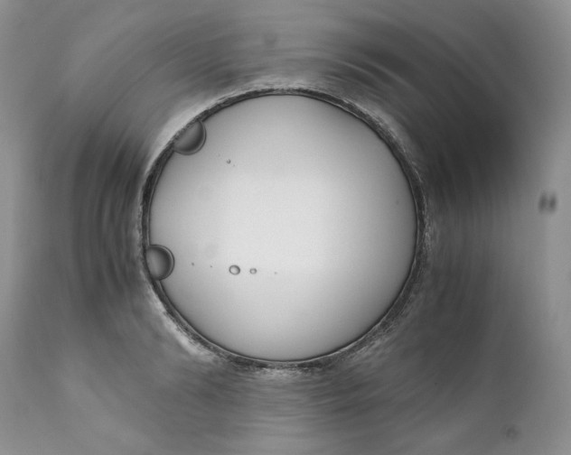 X0000110770894200907061116