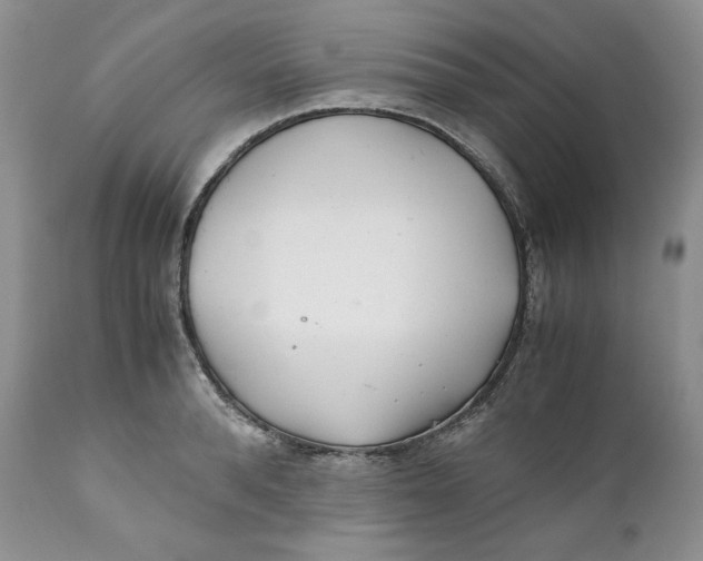 X0000110770896200907061116