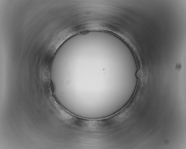 X0000110770897200907061116