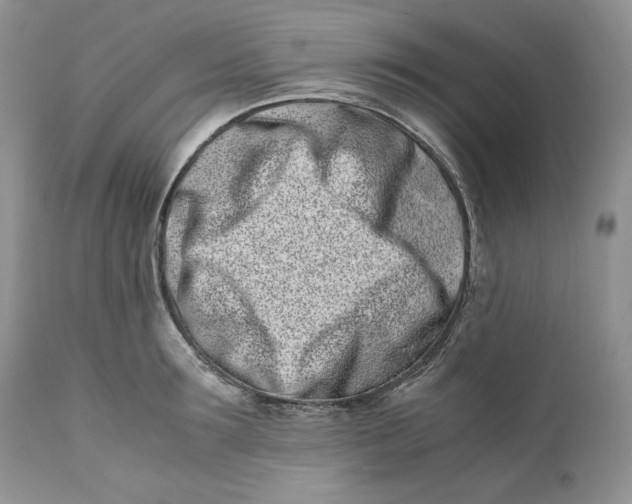 X0000110770899200907061116