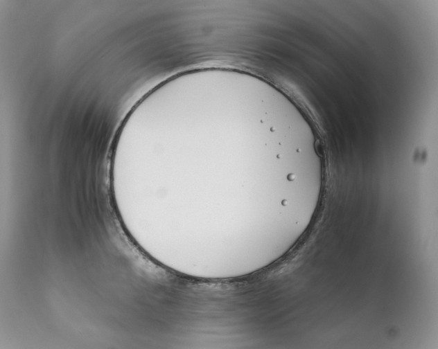 X0000110770900200907061116