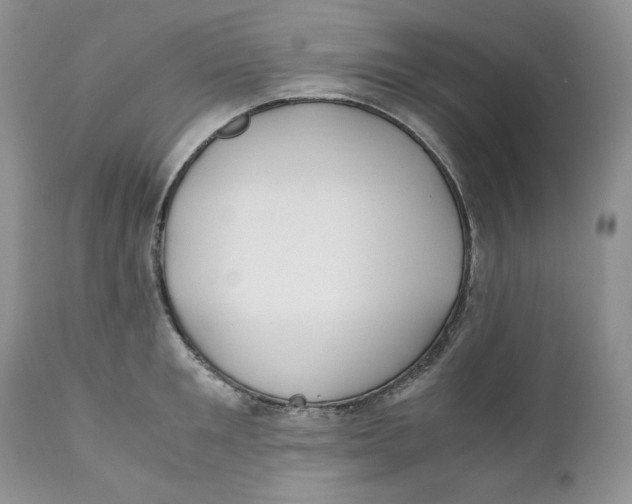 X0000110770901200907061116