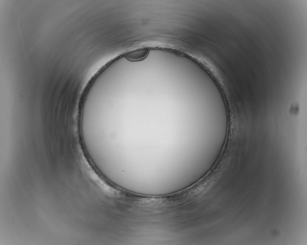 X0000110770902200907061116