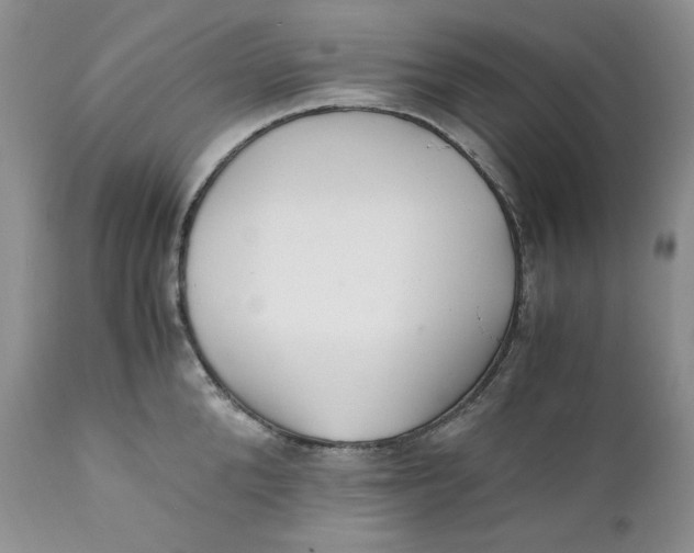 X0000110770904200907061116