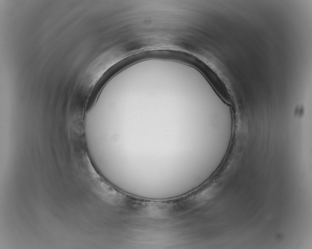 X0000110770905200907061116