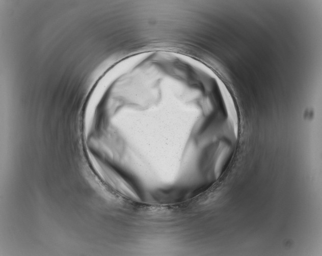 X0000110770907200907061116