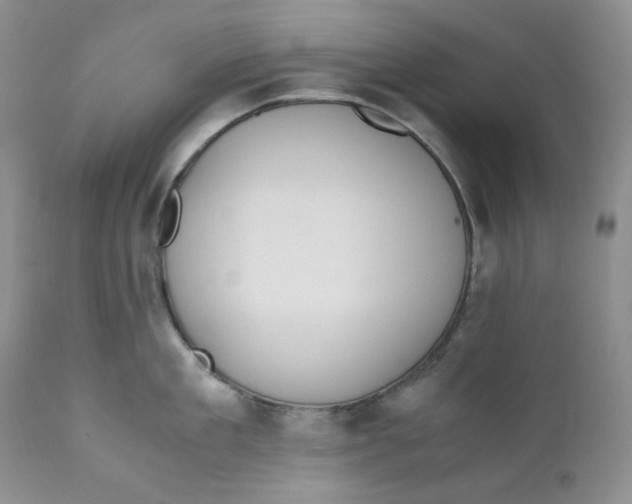 X0000110770909200907061116