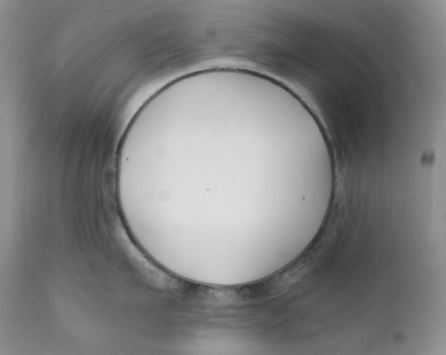 X0000110770911200907061116