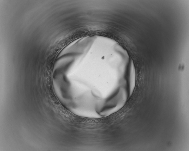 X0000110770917200907061115