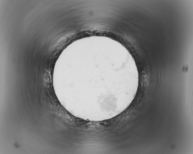 X0000110770918200907061115