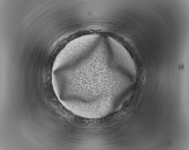 X0000110770920200907061115