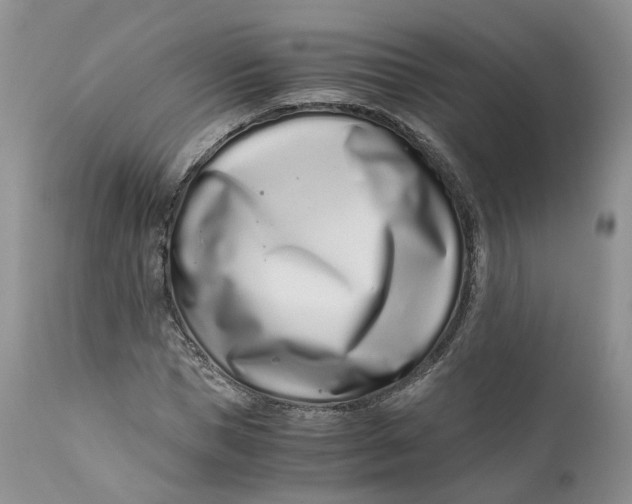 X0000110770921200907061115