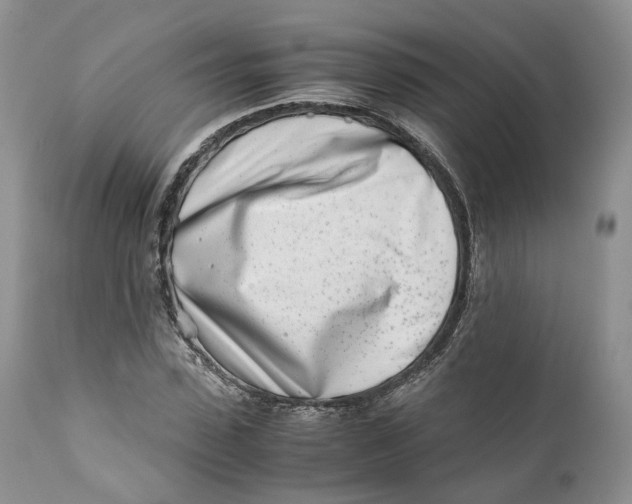 X0000110770923200907061115