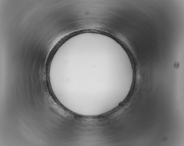 X0000110770924200907061115