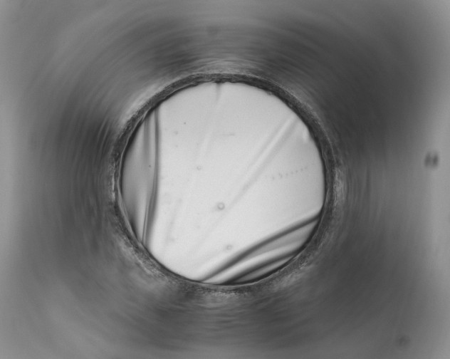 X0000110770925200907061115