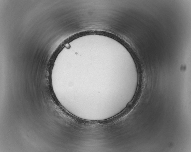 X0000110770926200907061115