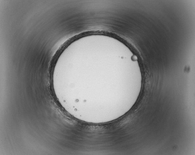 X0000110770927200907061115