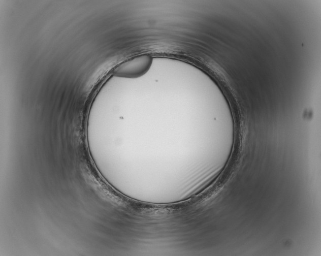 X0000110770930200907061115