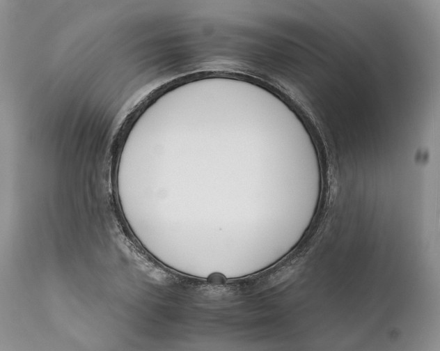 X0000110770931200907061115