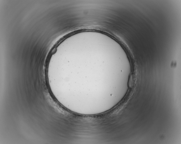 X0000110770932200907061115