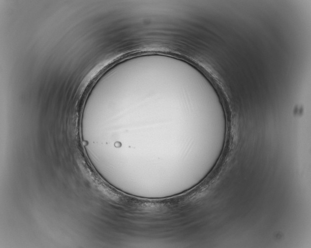 X0000110770933200907061115