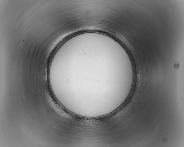 X0000110770934200907061115