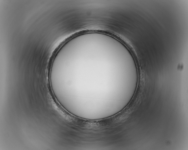 X0000110770935200907061115