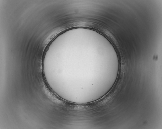 X0000110770938200907061115