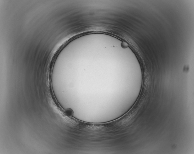 X0000110770939200907061115