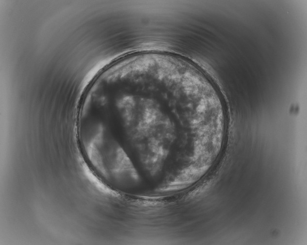 X0000110770941200907061115