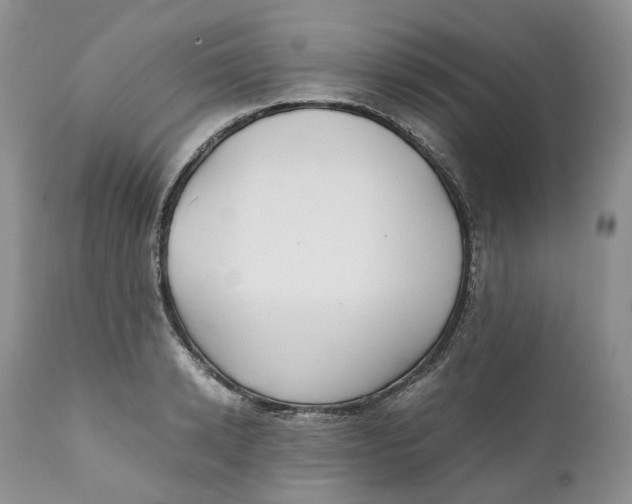 X0000110770942200907061115