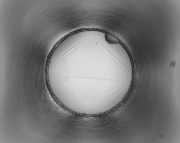 X0000110770943200907061115