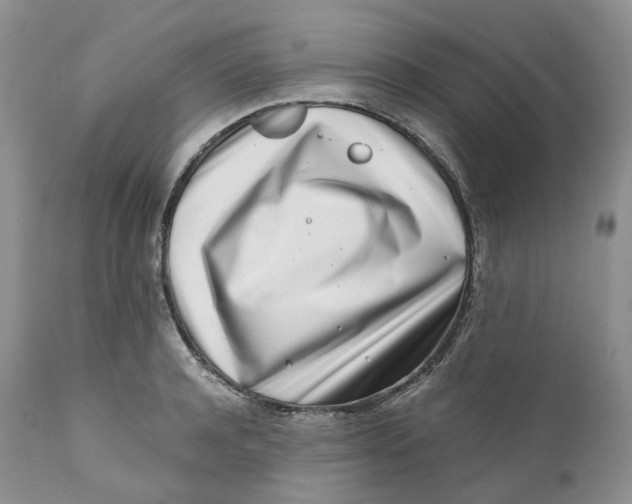 X0000110770944200907061115