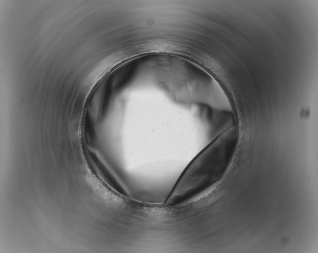 X0000110770946200907061115