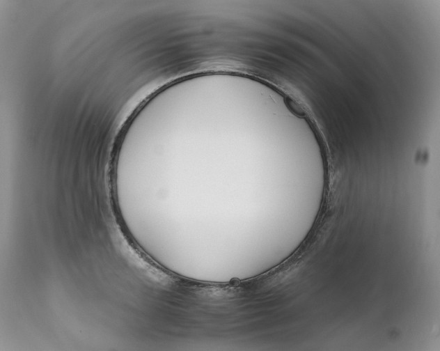 X0000110770947200907061115