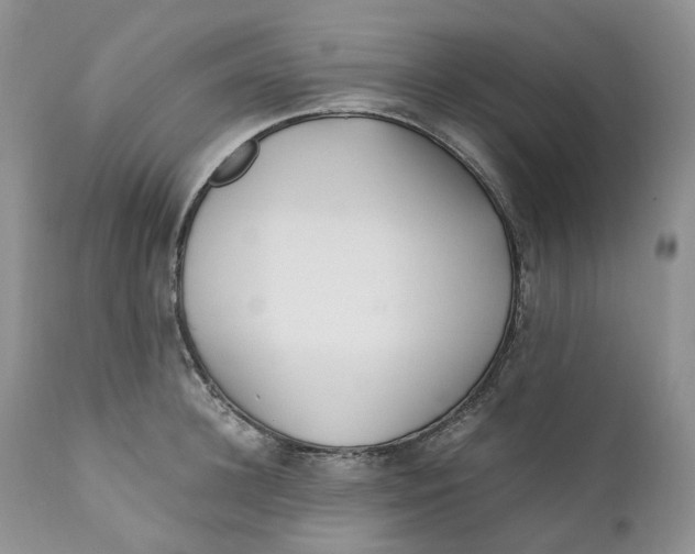 X0000110770948200907061115