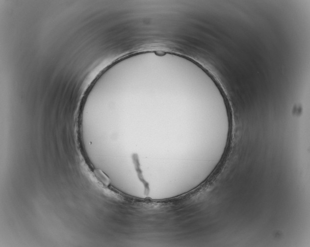 X0000110770949200907061115