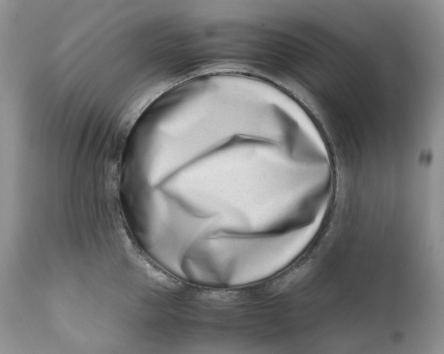 X0000110770953200907061115