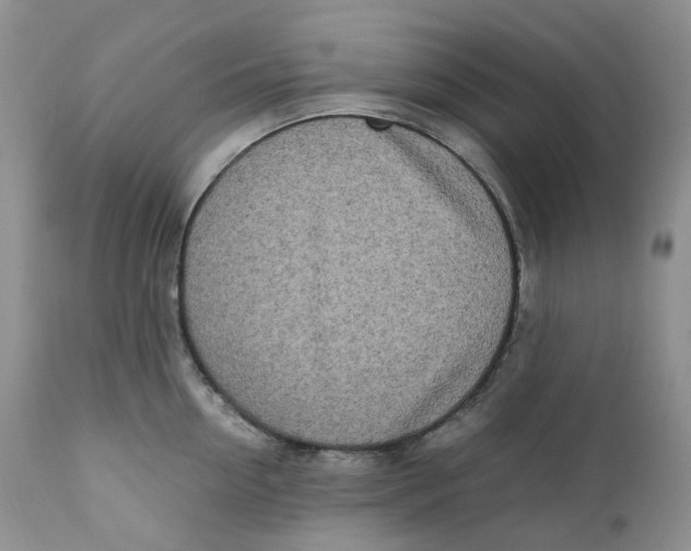 X0000110770954200907061116