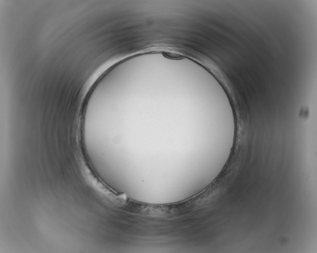 X0000110770955200907061116