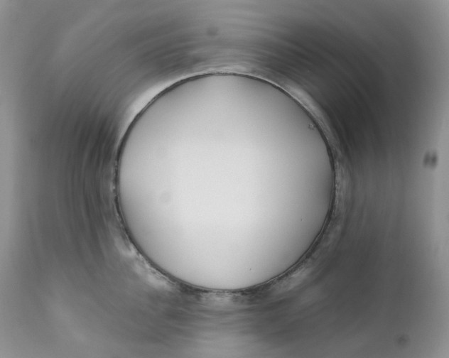 X0000110770956200907061116