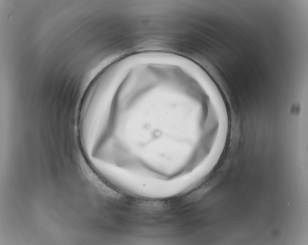 X0000110770957200907061116