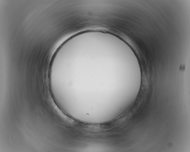 X0000110770959200907061116