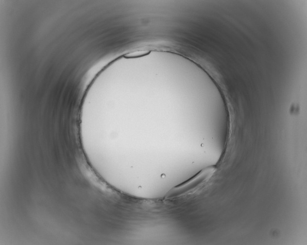 X0000110770960200907061116