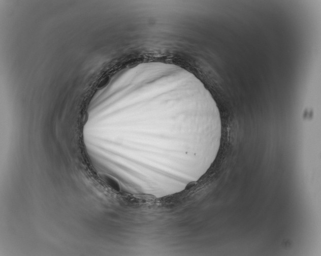 X0000110770961200907061115