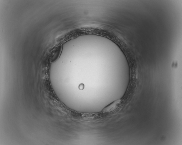 X0000110770965200907061115