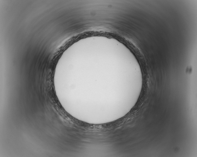 X0000110770968200907061115