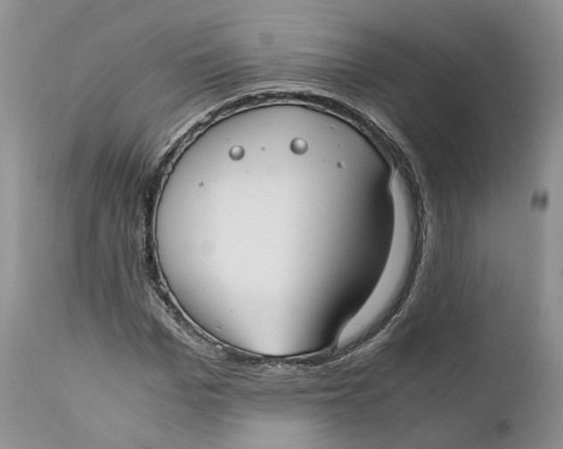 X0000110770969200907061115