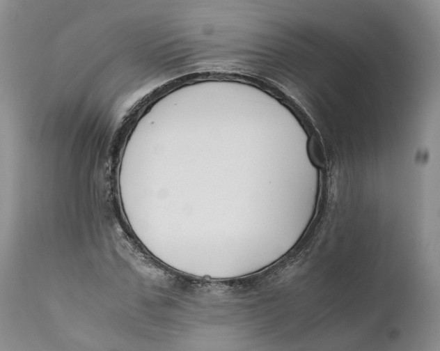 X0000110770971200907061115