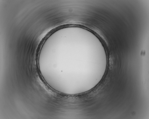 X0000110770972200907061115